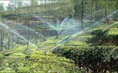 土壤墑情自動(dòng)監(jiān)測站茶園灌溉中能發(fā)揮什么作用？